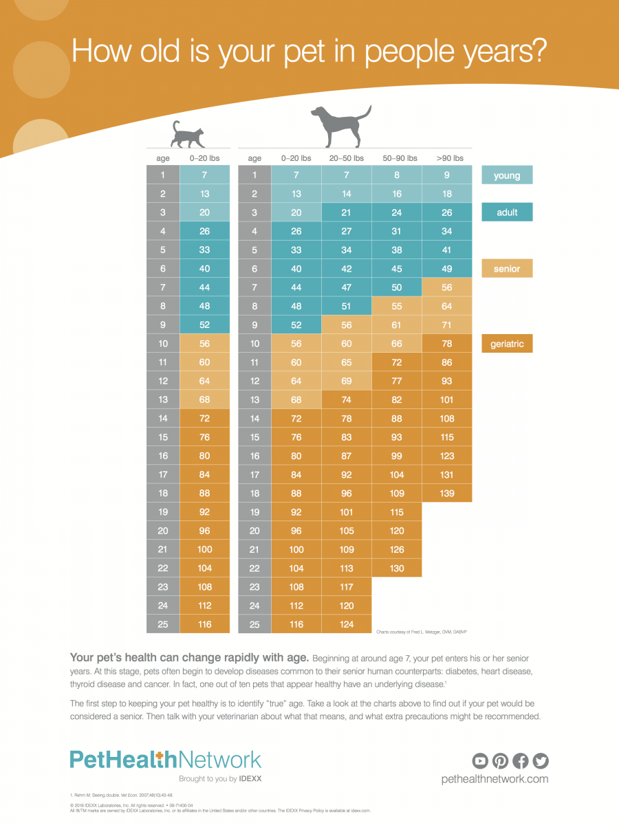 Pet Age Chart